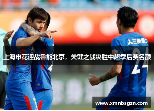 上海申花迎战鲁能北京，关键之战决胜中超季后赛名额