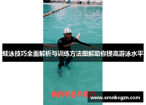 蛙泳技巧全面解析与训练方法图解助你提高游泳水平