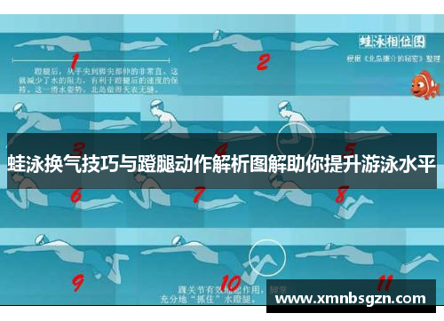 蛙泳换气技巧与蹬腿动作解析图解助你提升游泳水平